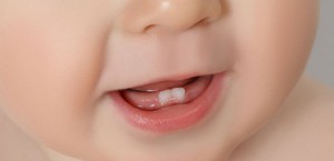 Dentes bebé - Mãe-Me-Quer