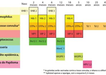 Alterações à vacinação a partir de janeiro de 2017