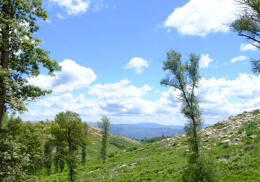 Serra da Cabreira: o que fazer com os miúdos