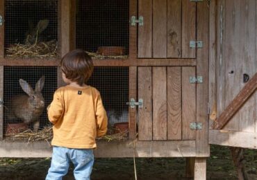 10 quintas pedagógicas por todo o país