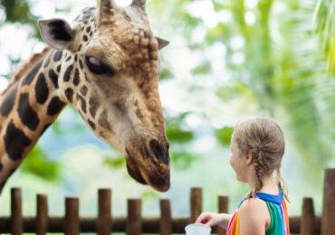 15 melhores zoos e aquários de Portugal e Espanha para visitar em família