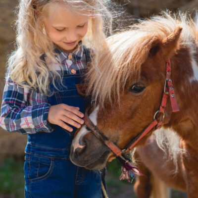 Hotéis e turismos rurais com animais